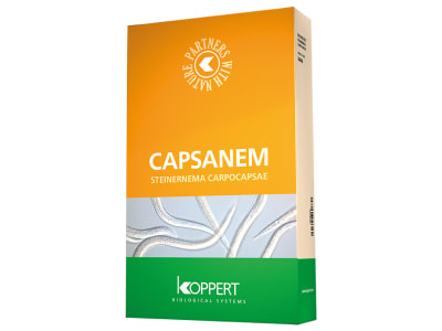 KOPPERT Capsanem   50 Mio. Steinernema carpocapsae Nematoden