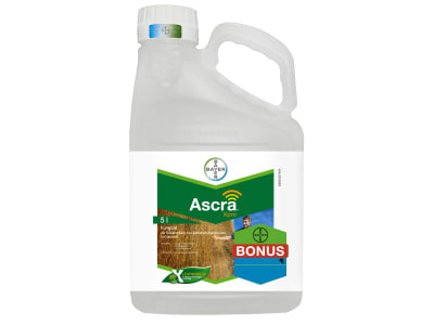 Bayer Ascra Xpro 5 l Kanister Bayer Ascra Xpro 5 l Kanister
