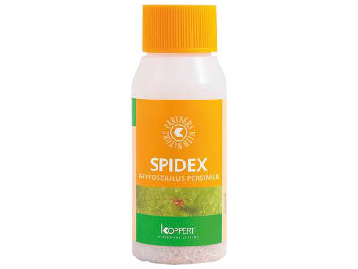 KOPPERT Spidex   