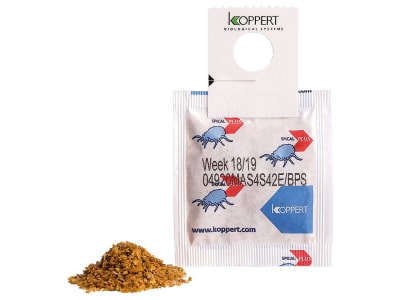 KOPPERT Spical-Plus 10.000 Neoseiulus californicus KOPPERT Spical-Plus 10.000 Neoseiulus californicus