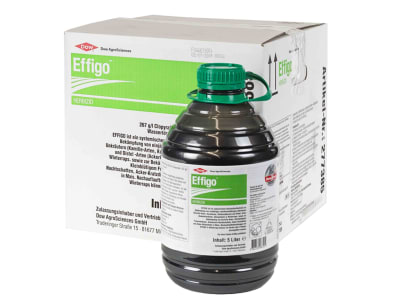  Effigo 5 l Flasche 