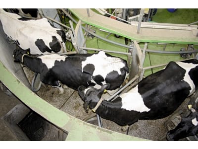 Hochdruckschlauch "Easyfarm 365+" Hochdruckschlauch "Easyfarm 365+"