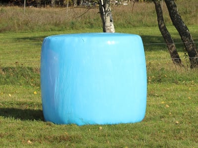 Triowrap® Trioplus® 1900 RS Stretchfolie Premium Plus Stretchfolie, für Rund- und Quaderballen in allen Größen, PE PreTech® Folie blau 21 µm 0,75 x 1.900 m Triowrap® Trioplus® 1900 RS Stretchfolie Premium Plus Stretchfolie, für Rund- und Quaderballen in allen Größen, PE PreTech® Folie blau 21 µm 0,75 x 1.900 m