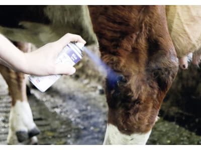 Agro Chemica Blauspray Agro Chemica Blauspray