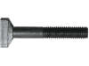 Rau Hammerkopfschraube mit Sicherungsmutter M 10 x 65 für Befestigung Rotorzinken, RG00031301