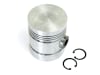 Kolben, Motor Perkins A3.144; Perkins A4.192, Ø Kolbenbolzen 31,75 mm, für Ford New Holland, Landini, Massey Ferguson