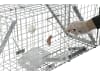 KERBL Kastenfalle "Alive Predator Super" 120 x 33 x 42 cm, für Füchse, streunende Katzen, Waschbären, Marder und andere Tiere, 299477