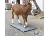 KERBL Tierwaage "PS 2000" Wägebereich 0 – 1.000 kg, 291311