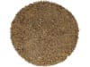 Oscorna® Rasaflor fein organischer NPK 8+4+0.5 Langzeitdünger mit Spurenelementen, ideal für Rasen Neuansaaten 20 kg Sack  Pulver
