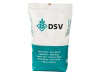 Mais-Saatgut DSV Janeen    (S 260; K 250)