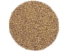 Rotklee Krynia diploid ZS Bio ungebeizt 25 kg Sack  
