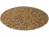 Rotklee Krynia diploid ZS Bio ungebeizt 25 kg Sack  