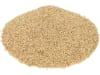 Wiesenrispe Saatgut Chester ZS ungebeizt 25 kg Sack  