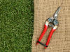 ARS Ernte- und Obstschere 310  16 cm Gartenschere