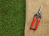 ARS Trauben- und Ernteschere 300L  19 cm Gartenschere