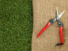 ARS Trauben- und Ernteschere 300L  19 cm Gartenschere