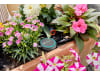 Gardena Bodenfeuchtesensor    01867-20