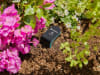 Gardena smart Sensor Messgerät  für Temperatur, Bodenfeuchte und Lichtstärke 19040-20