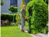 Gardena Akku-Trimmer ComfortCut 23/18V P4A Ready-To-Use Set  Rasentrimmer, inkl. Akku und Ladegerät, Freischneider