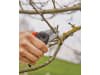 Gardena Gartenschere ExpertCut Bypass   12203-34