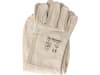 Holtermann ApiLeder® Handschuhe   12 