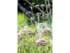 GLORIA® MultiJet Pflanzenschutz Set Sprühlanze        