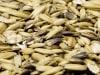 Höveler Prachthafer gewalzter, mehrfach gereinigter Hafer aus 1/3 Schwarzhafer und 2/3 Gelbhafer Körner 25 kg Sack