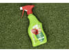 Protect Garden Lizetan Zierpflanzen- & Rosen-Spray AF 500 ml Flasche  