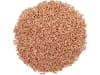 Wintertriticale Saatgut Allrounder PZO ZS EH     