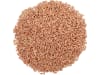 Wintertriticale Saatgut Charme ZS     