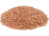 Wintertriticale Saatgut Ramdam ZS Celest 30 kg Sack  