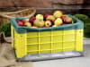Frubox Pflückkiste komplett Obstkiste aus Kunststoff mit aufklappbarem Boden, stapelbar