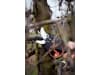 BAHCO Akkuschere 43,2 V  Typ BCL23 Rebschere