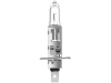 Hella® Halogenlampe H1, 12 V, 55 W, P14,5s, 8GH 002 089-133