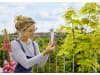 Gardena ClickUp! Balkonhalterung   11410-20