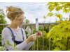 Gardena ClickUp! Balkonhalterung   11410-20