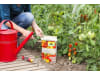 NEUDORFF AZET Tomatendünger Organischer NPK-Dünger 7-3-10 2,5 kg Schachtel  Granulat