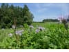 Planterra ZWH 4022 Mais-Meister Zwischenfrucht  600 kg BigBag
