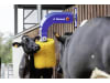 DeLaval Kuhbürste "SCB 3.1" 500 x 1.320 x 1.000 mm, Borstenbesatz Kunststoff, gelb, 180 mm, für bis zu 60 Kühe, 2150015825