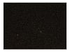 Aqua Uni Fischfutter Forellenfutter 2 mm Extrudat 25 kg Sack