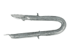 Crapal® 4 Schlaufe mit Widerhaken  3,5 x 35 mm 5 kg 