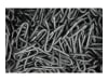 Crapal® 4 Schlaufe mit Widerhaken  3,5 x 35 mm 5 kg 