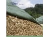 Toptex® Biomasseschutzvlies   grün 6 x 50 m  