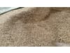 Toptex® Biomasseschutzvlies   grün 6 x 50 m  