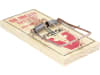 Protect Home Rattenfalle Classic 1 St.   