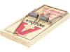 Protect Home Rattenfalle Classic 1 St.   