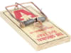 Protect Home Rattenfalle Classic 1 St.   