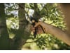 Fiskars Plus™ SmartFit Bypass-Gartenschere P541    