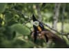 Fiskars Solid™ Bypass-Gartenschere P121    