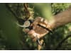 Fiskars Solid™ L Bypass-Gartenschere P341    